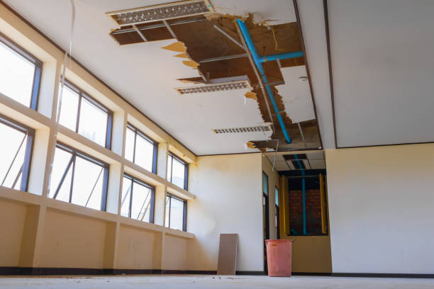 Best Water damage cleanup near me  in Latimer, MS