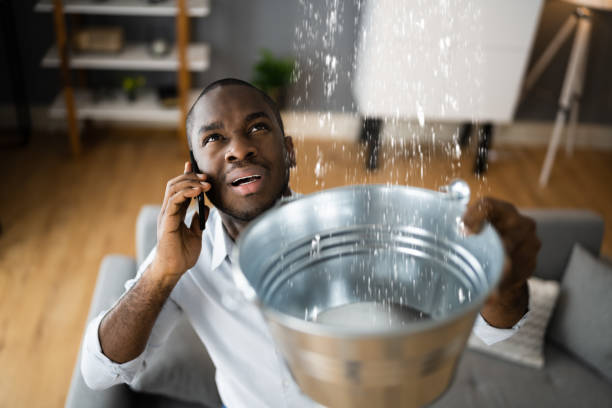 Best Water damage restoration services  in Latimer, MS