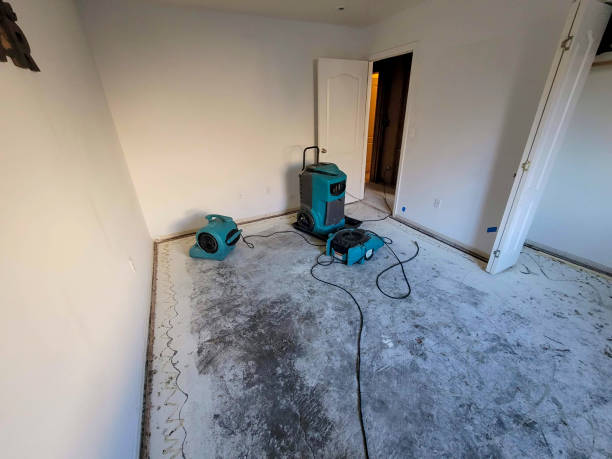 Best Water damage restoration near me  in Latimer, MS