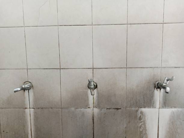 Carpet water damage restoration in Latimer, MS