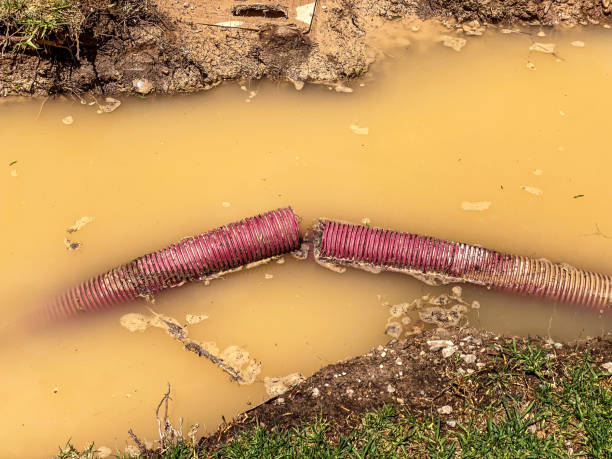Best Mold removal after water damage  in Latimer, MS